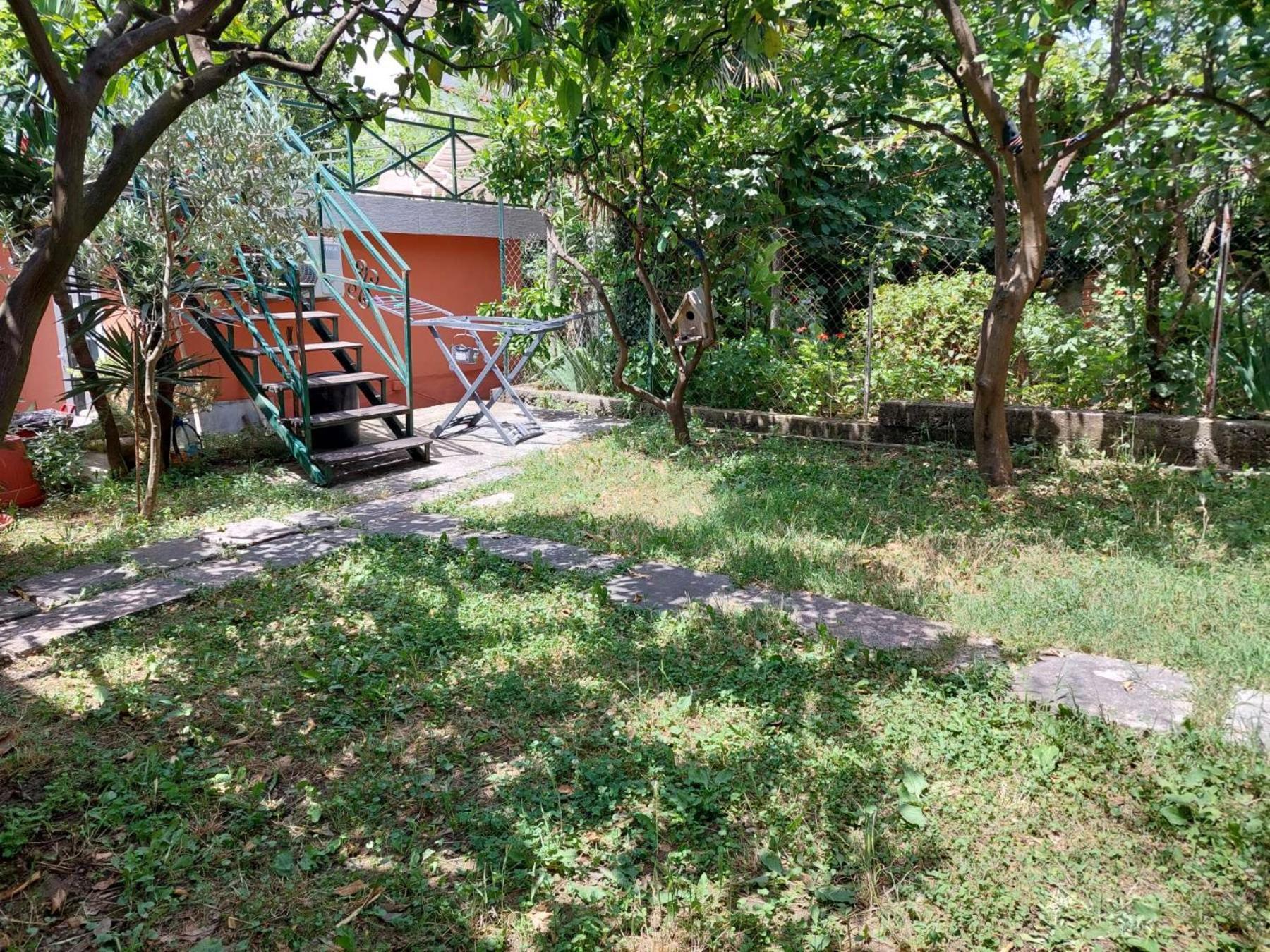 Garden apartmant near sea *NEW Kotor Cameră foto