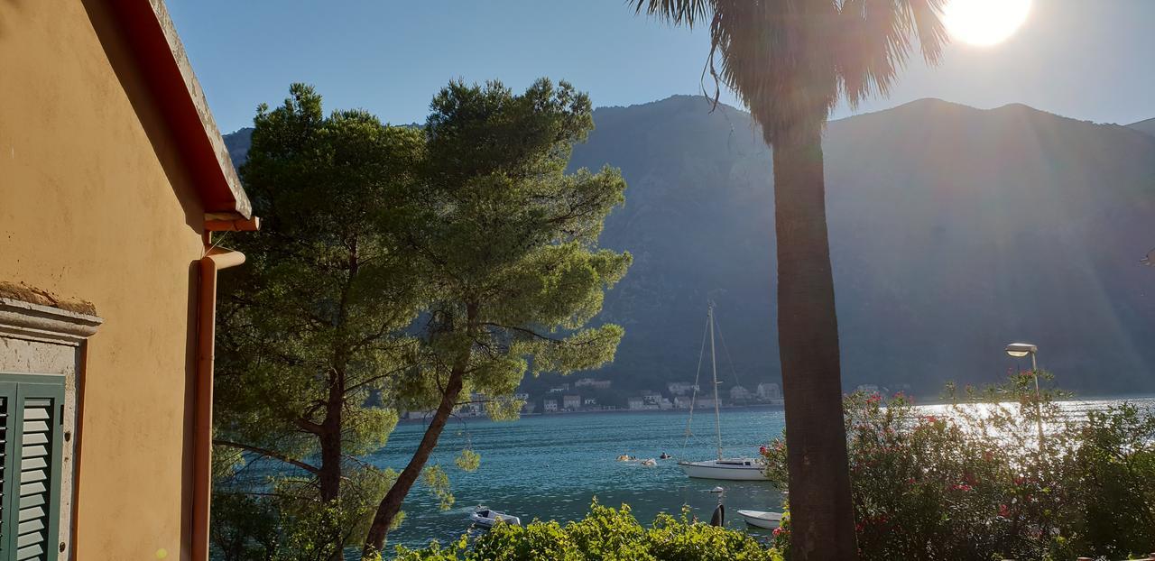 Garden apartmant near sea *NEW Kotor Exterior foto